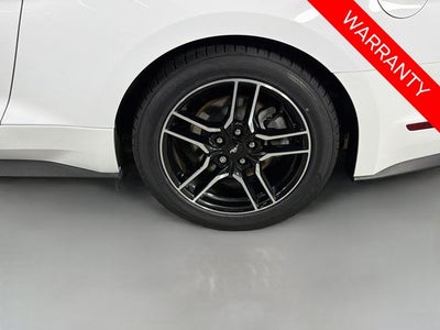 2021 Ford Mustang EcoBoost
