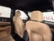 2017 Ford Explorer Base