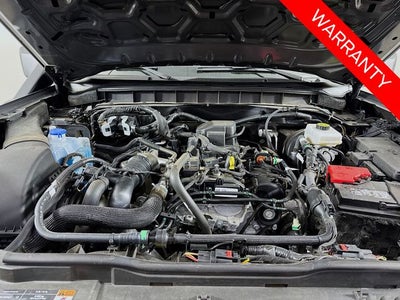 2023 Ford Bronco Everglades