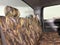 2006 Ford F-150 FX4