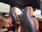 2025 Lincoln Aviator Black Label