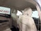 2019 Lincoln MKC Standard