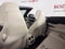 2025 Mercedes-Benz CLE CLE 450 4MATIC®